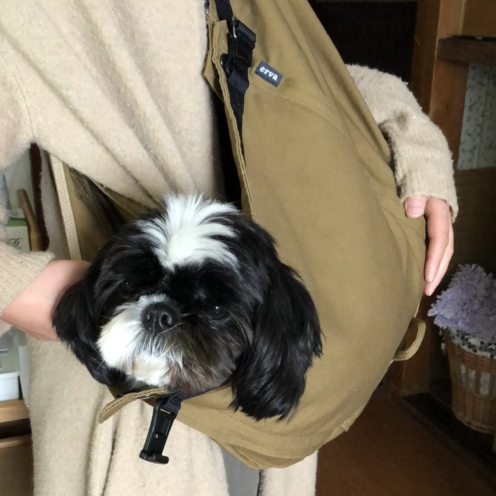 4-15kg対応の犬用抱っこ紐(小型犬・中型犬)調整付きコヨーテ｜日本で