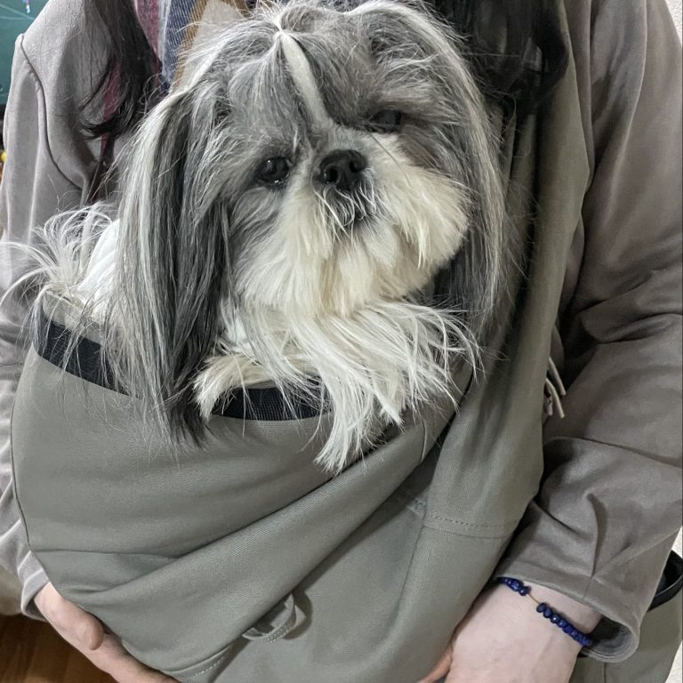 4-15kg対応の犬用抱っこ紐(小型犬・中型犬)ファーシル・グレージュ