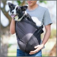 15-20kg対応の犬用抱っこ紐(中型犬)夏限定アベルトメッシュ｜日本で