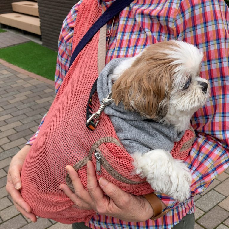 1-15kg対応の夏限定犬用メッシュ抱っこ紐(小型犬・中型犬)ピンク｜日本