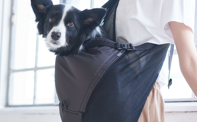 中型犬用のドッグスリングをお探しの方へ 日本で唯一 の犬用ドッグスリング 抱っこ紐 専門ブランド Erva エルバ