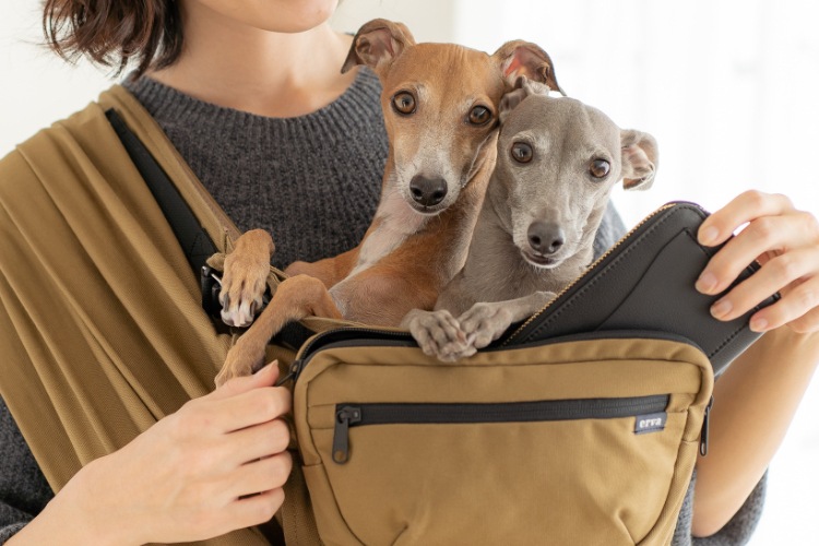4wayマルチバッグ-犬用抱っこ紐のオプション品｜日本で唯一のドッグス