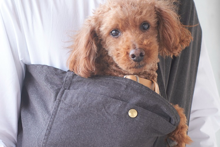 1-15kg対応の犬用抱っこ紐(小型犬・中型犬)アンバーグレーデニム｜日本 