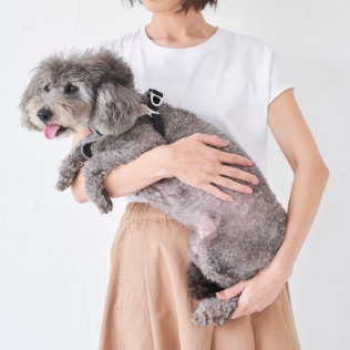 1-15kg対応の夏限定犬用メッシュ抱っこ紐(小型犬・中型犬)メッシュ