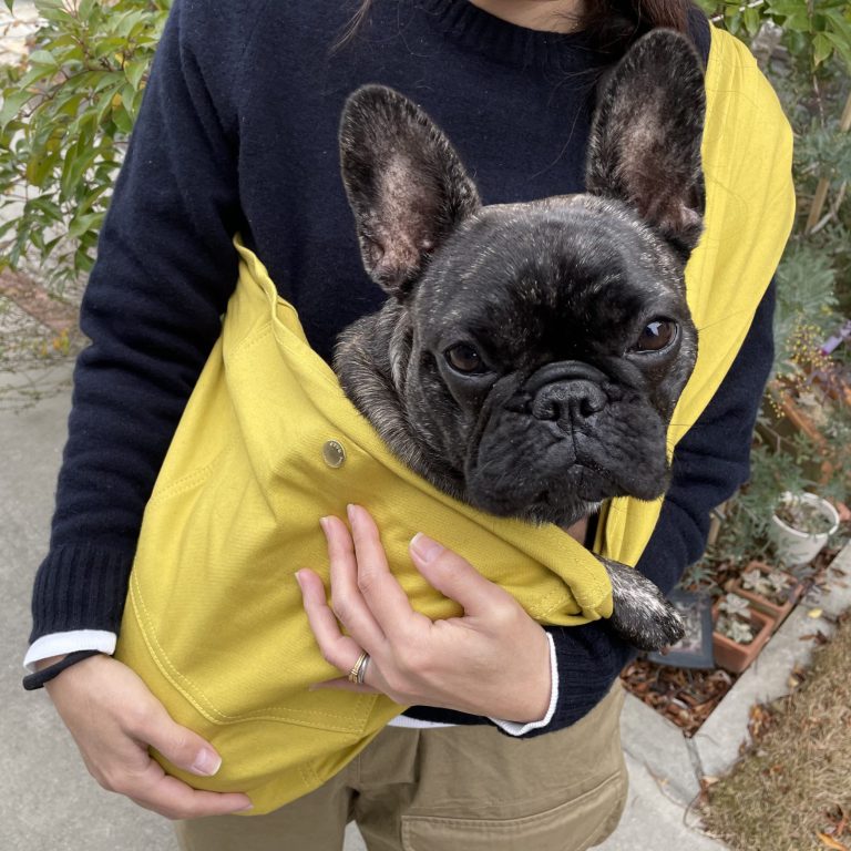 1-15kg対応の犬用抱っこ紐(小型犬・中型犬)サルファーイエロー｜日本で