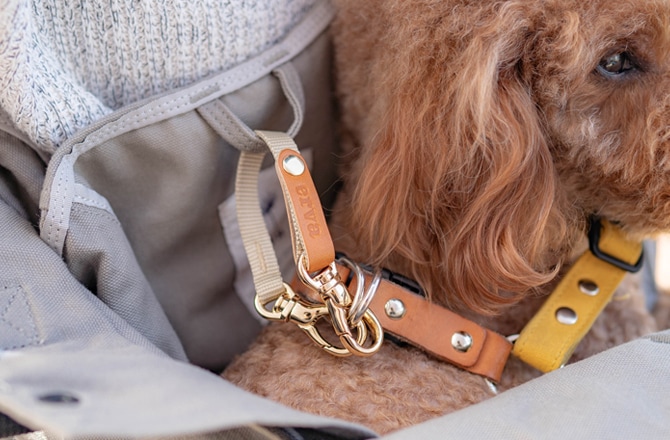 1-15kg対応の犬用抱っこ紐(小型犬・中型犬)アンバーグレーデニム｜日本