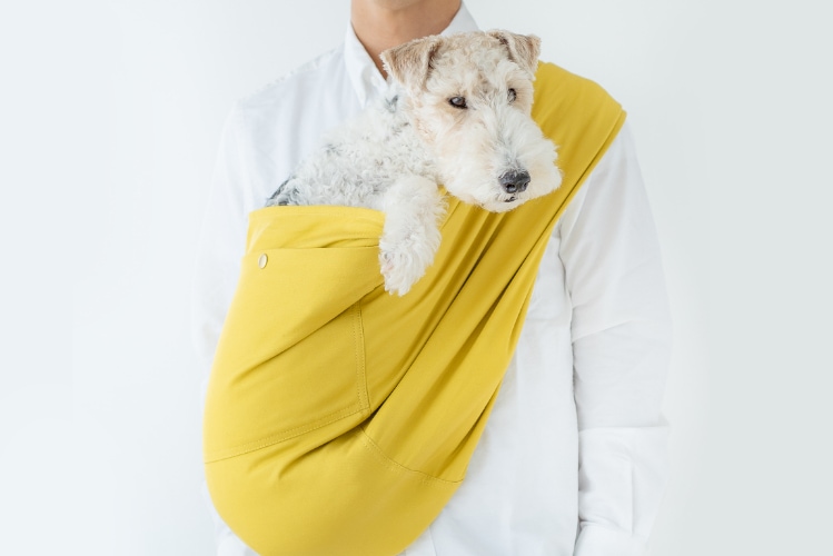 1-15kg対応の犬用抱っこ紐(小型犬・中型犬)サルファーイエロー｜日本で