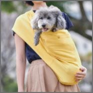 1-15kg対応の犬用抱っこ紐(小型犬・中型犬)夏限定へリンボンブルー