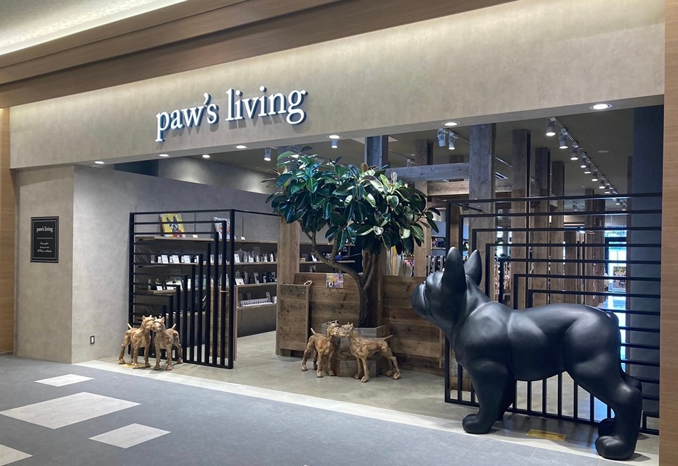 Paws living -̸-