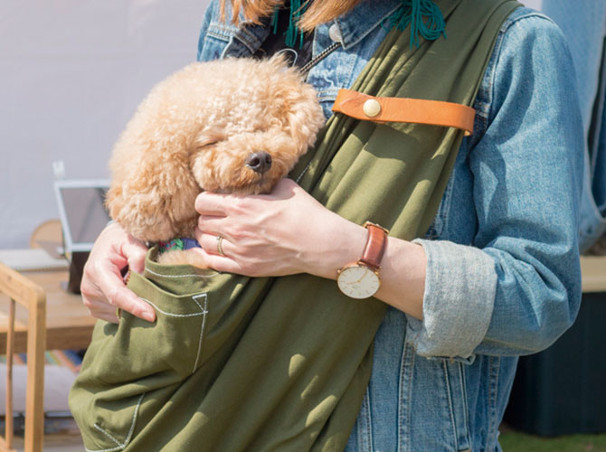 1-15kg対応の犬用抱っこ紐(小型犬・中型犬)ブラッドオレンジ｜日本で ...