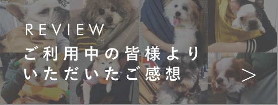 ドッグスリング(犬用抱っこ紐)選ばれ続けて人気No.1【erva/エルバ