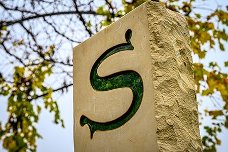 サロン ブラン ド ブラン[2015]サロン（シャンパン）【専用木箱入り