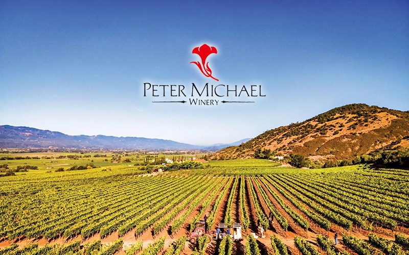 ԡޥ롦磻ʥ꡼Peter Michael Winery