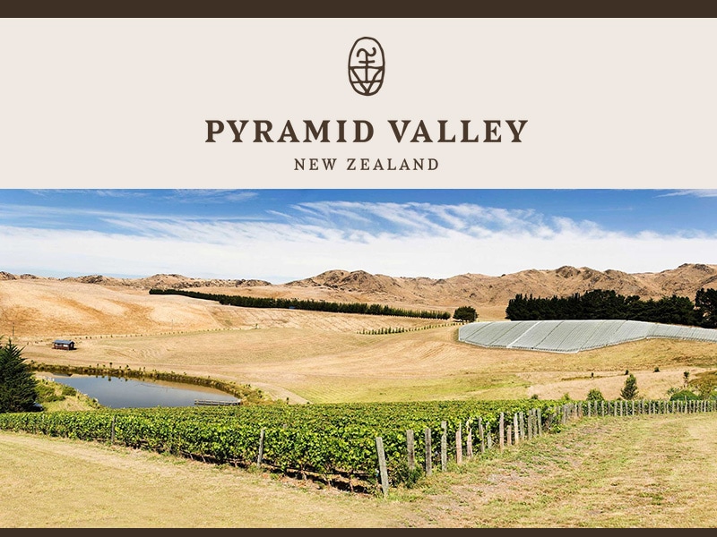 ԥߥåɡ졼䡼ɡPyramid Valley Vineyards