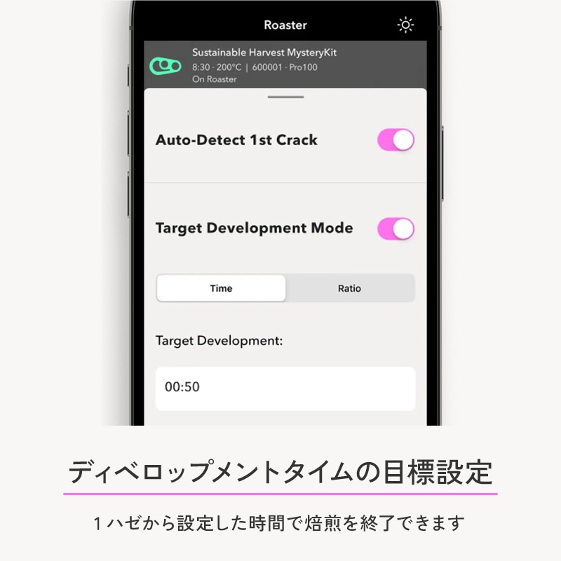 ディベロップメントタイムの目標を設定