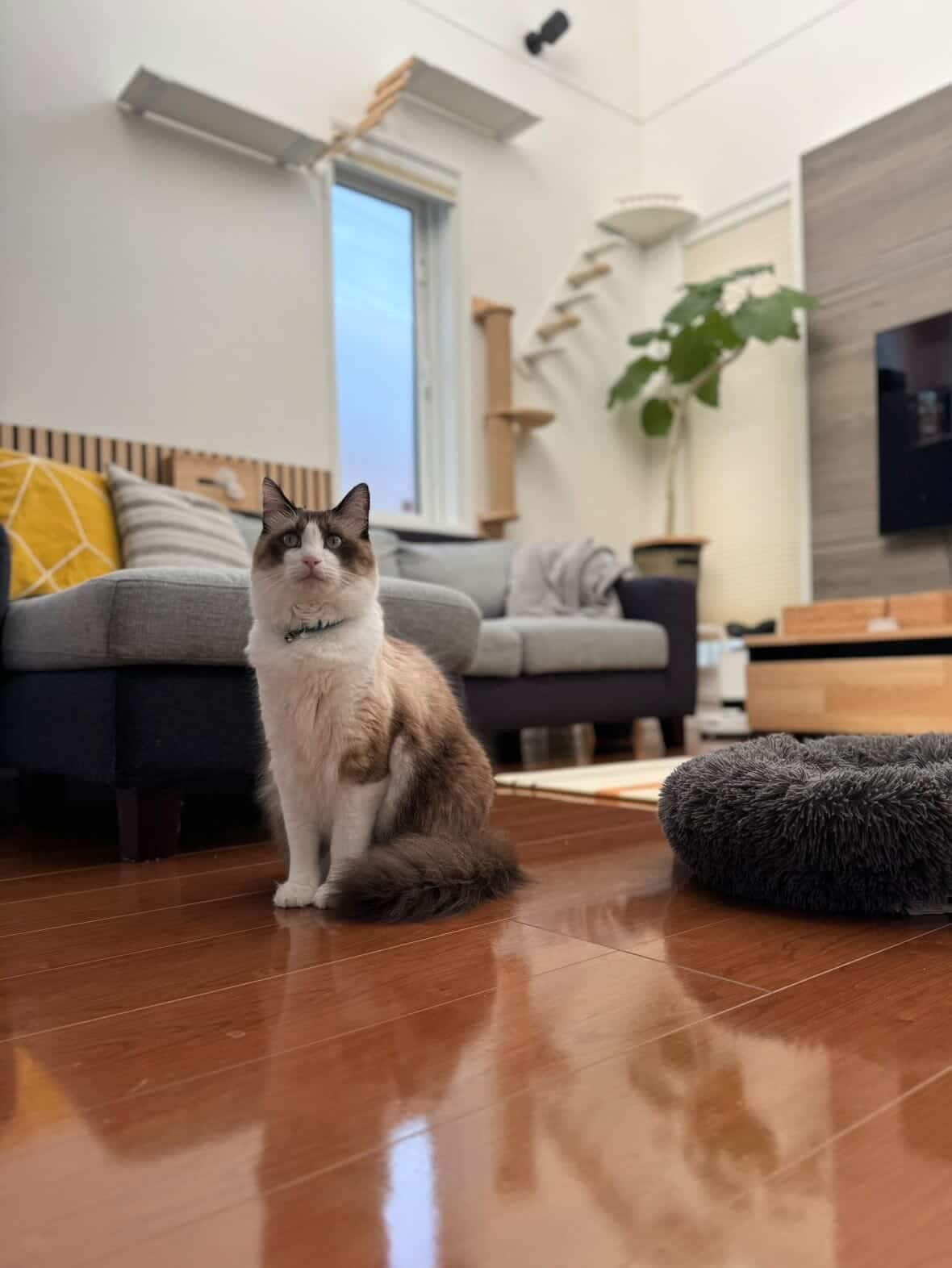 優秀賞 受賞作品