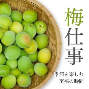 梅仕事