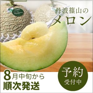 有機メロンあります