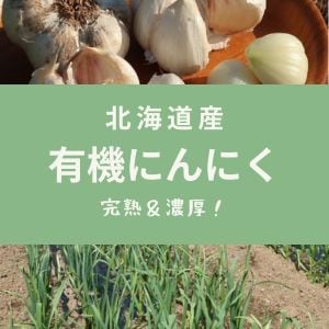 有機ニンニクあります