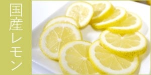 国産無農薬レモン