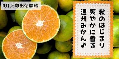 旬一番のり!ビタミンたっぷり温州みかん