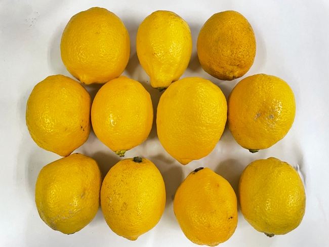 お試し）国産レモン1kg／2kg(無農薬・有機栽培同等品)