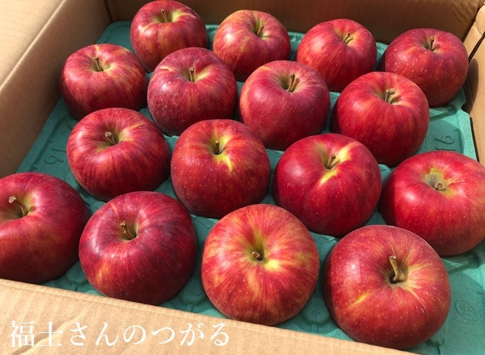 青森県産　葉とらずりんご　リンゴ　つがる　おためし1kg