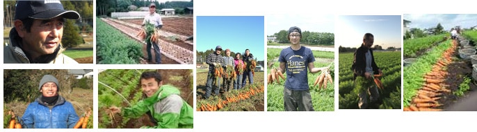 さんぶ野菜ネットワークの生産者の方々