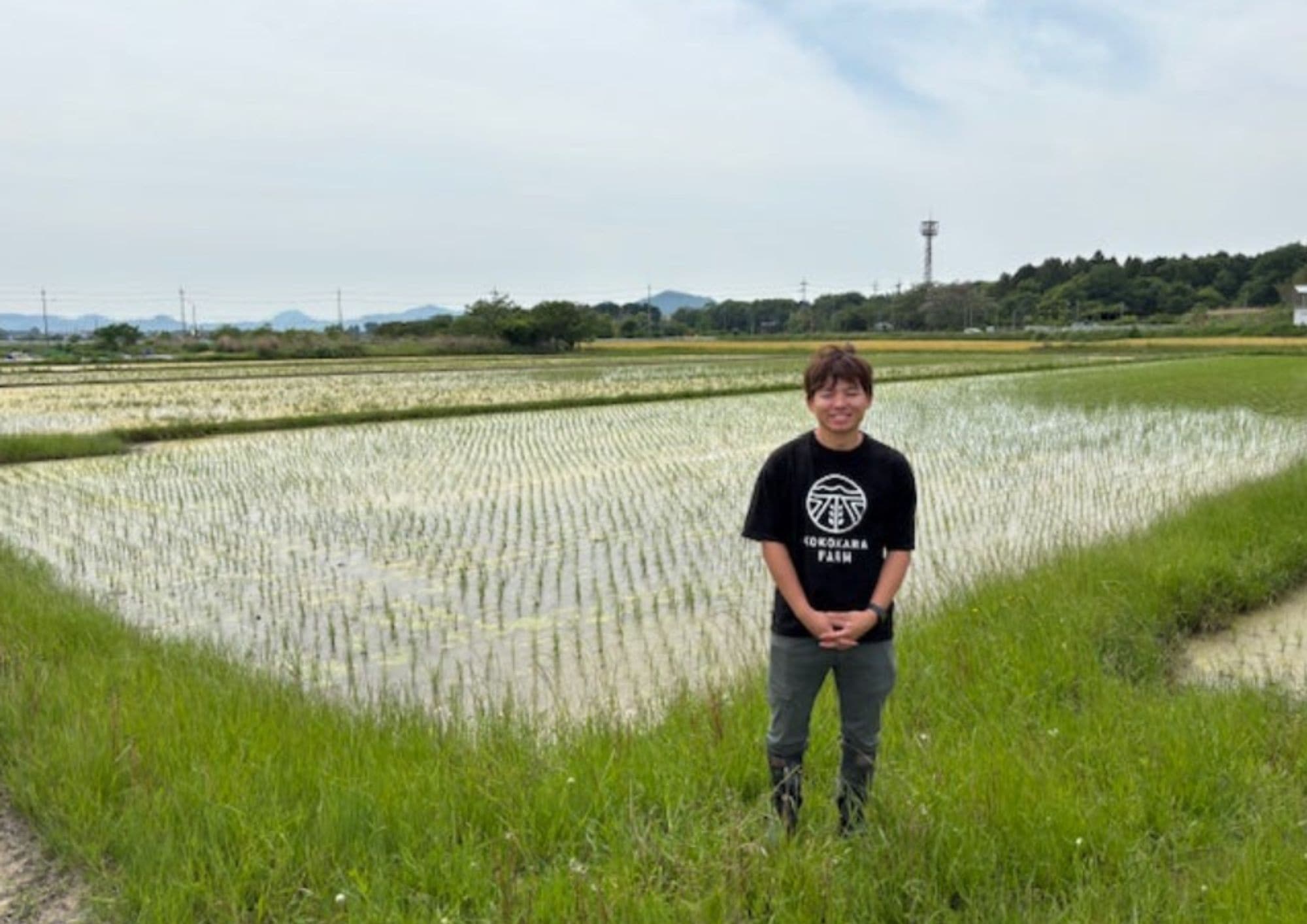 田んぼ