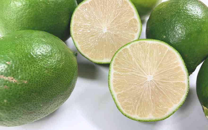 佐藤さん家の璃の香レモン5kg(有機栽培)(佐賀県産)_s22