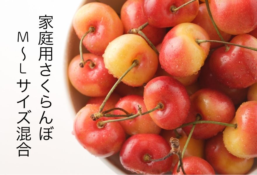 さくらんぼ祭り