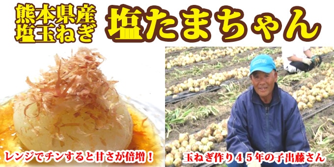 塩たまちゃん 熊本県産特別栽培玉ねぎ10kg 送料無料でお届け
