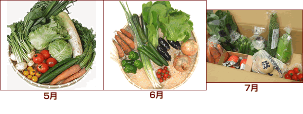 野菜セット（5～7月)