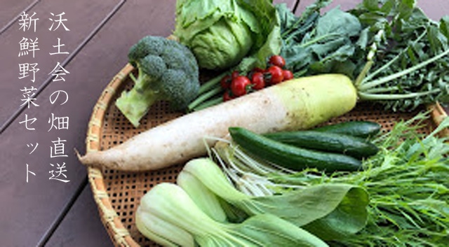 産地直送　埼玉・沃土会の季節の野菜８品（埼玉県・深谷市）