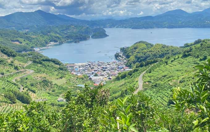 山から見下ろす絶景