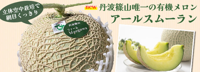 丹波篠山の有機栽培メロン