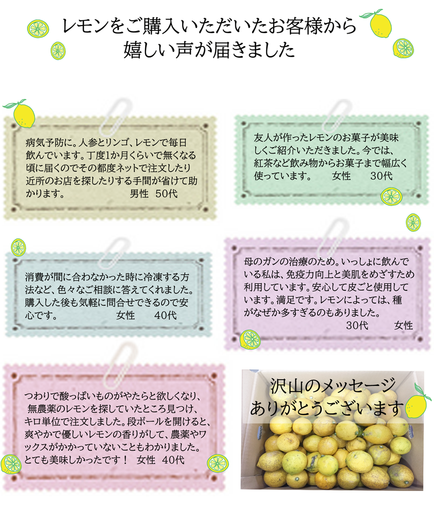 国産無農薬レモン e有機生活