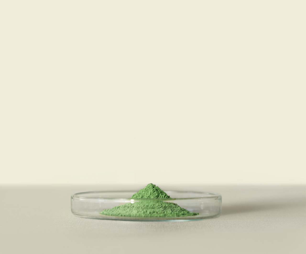 Mayaの抹茶