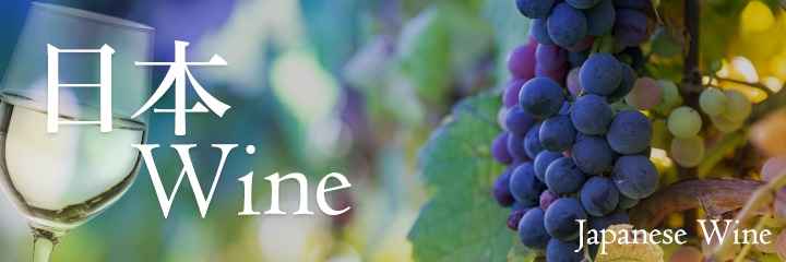 ���ܥ磻��