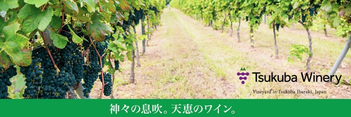 �Ĥ��Х磻�ʥ꡼