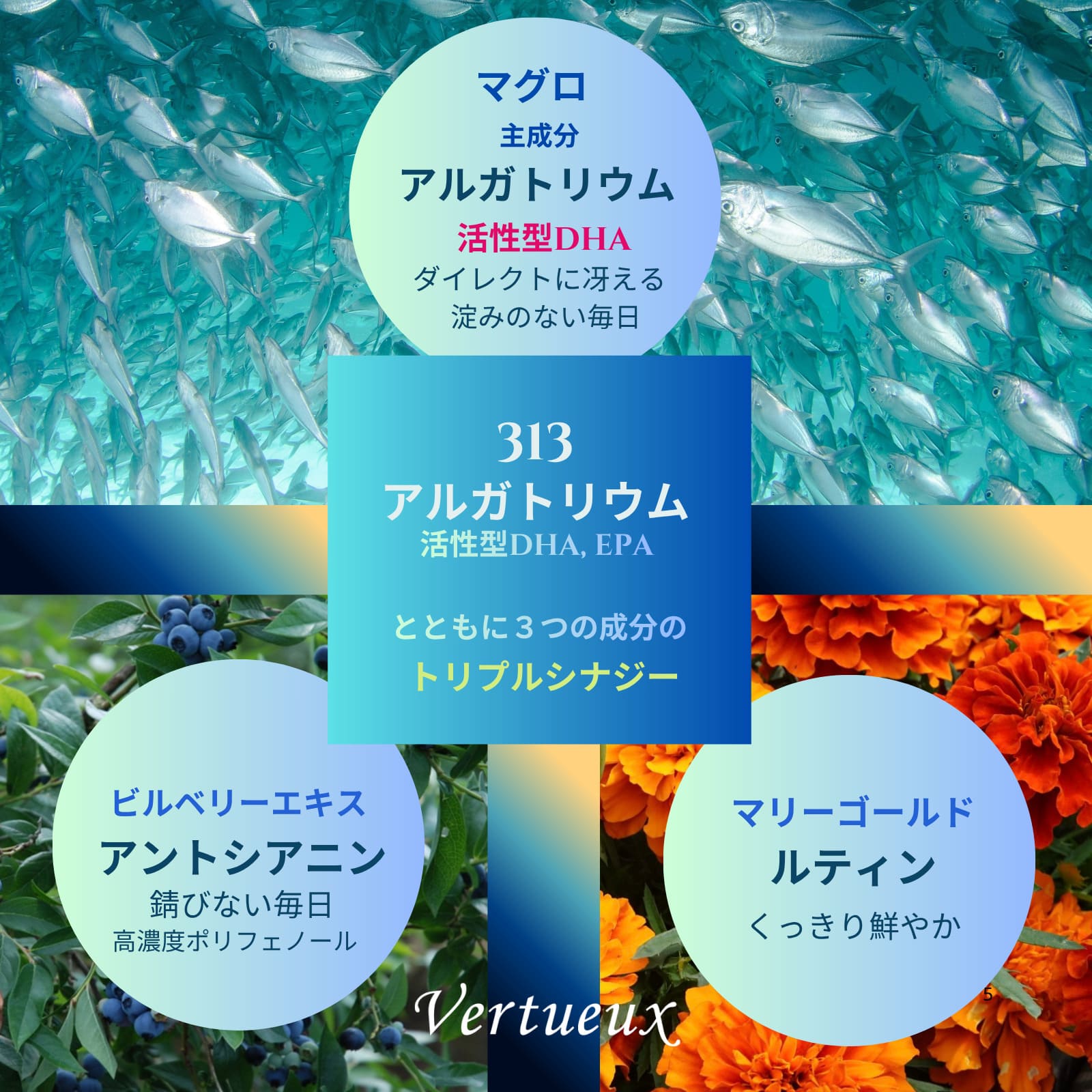 アルガ トリウム