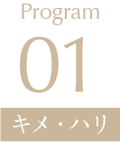 Program01 キメ・ハリ