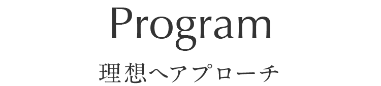 理想へアプローチ