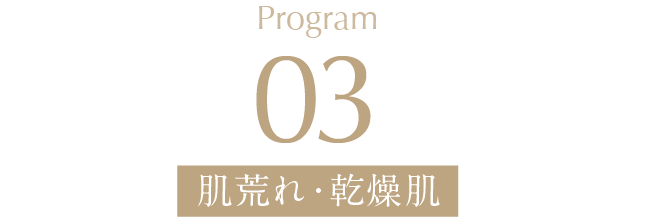 MODE03 肌荒れ・乾燥肌 時間6分