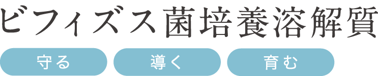 ビフィズス菌培養溶解質