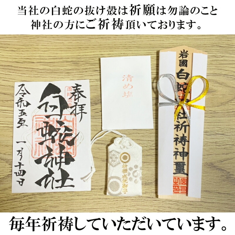 白蛇 一匹 丸ごと 抜け殻 頭部 100万円帯封 白蛇頭 純金箔 白ヘビ 開運