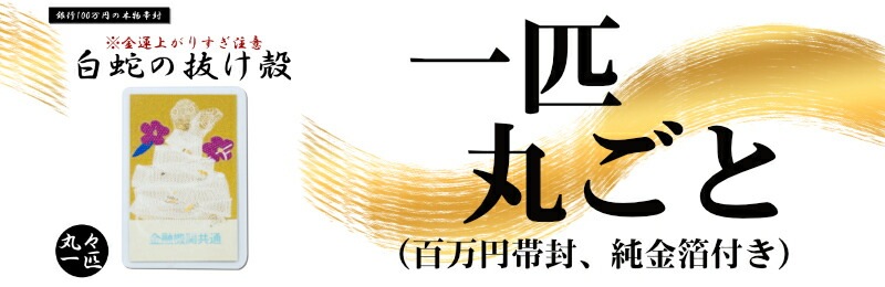 白蛇 一匹 丸ごと 抜け殻 頭部 100万円帯封 白蛇頭 純金箔 白ヘビ 開運 