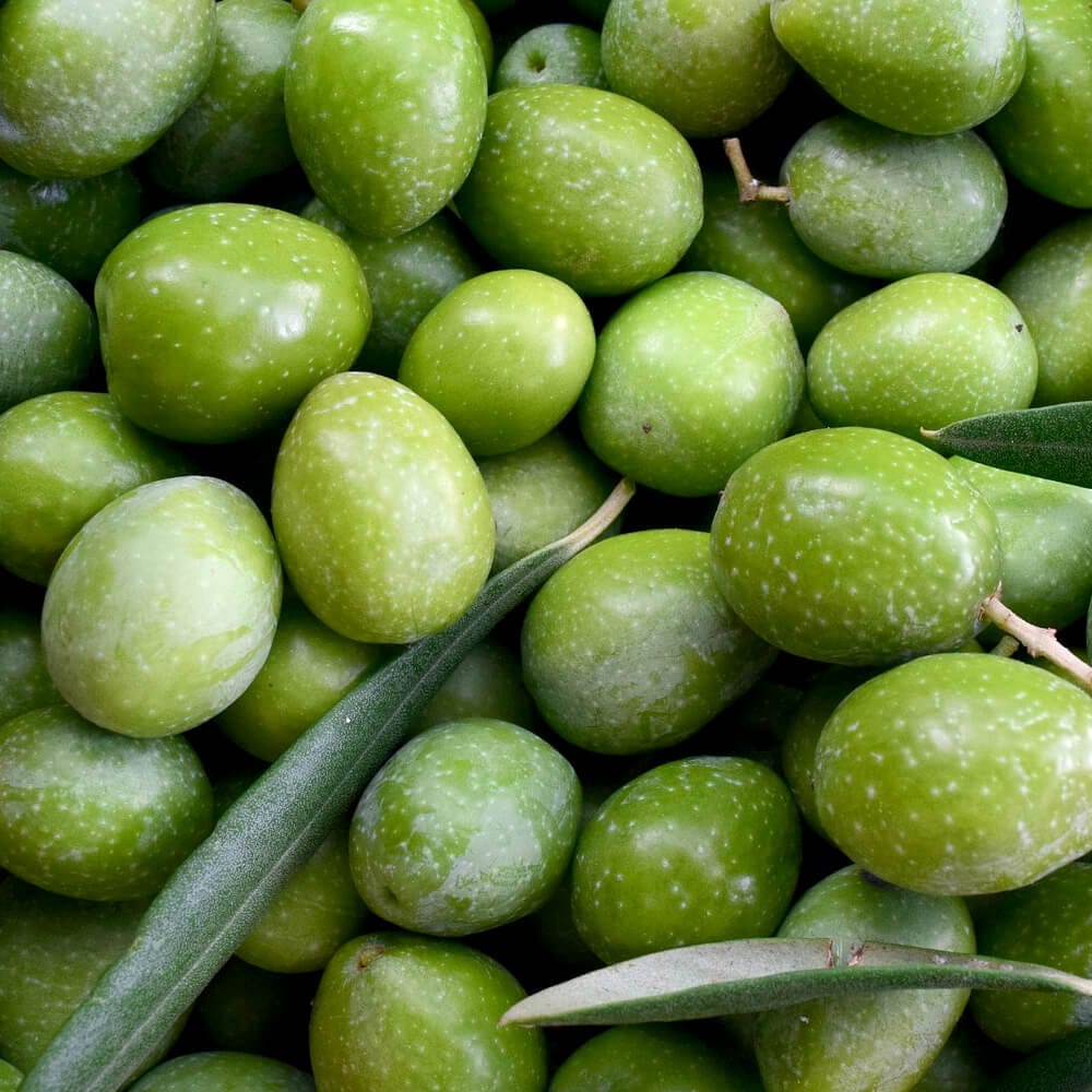 スペイン産オリーブ果実を使用