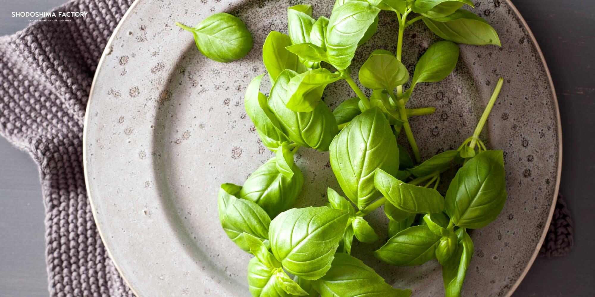 バジルオリーブオイル