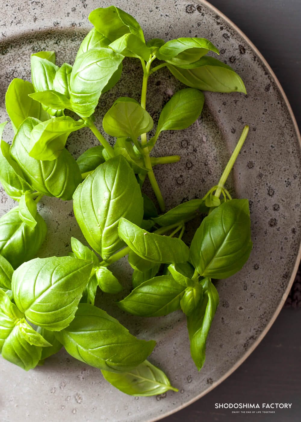 バジルオリーブオイル